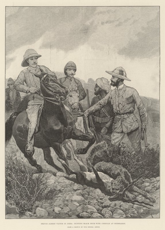 Prins Albert Victor i Indien, jagar svartbock med gepard i Hyderabad av Richard Caton Woodville junior