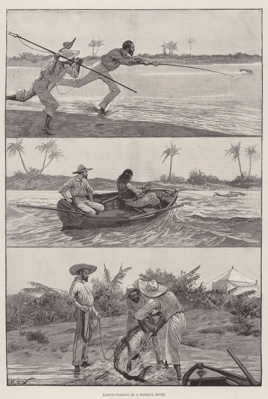 Tarponfiske i en flod i Florida av Richard Caton Woodville junior