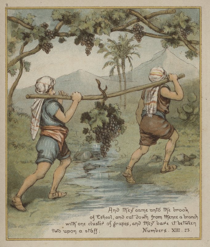 En klase av druvor från Eshcol av Richard Andre
