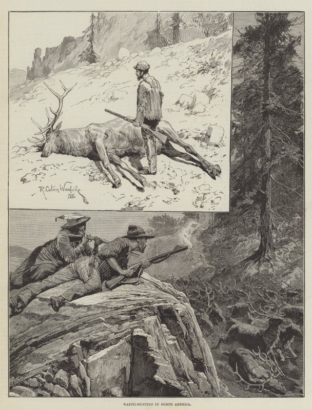 Wapiti-Jakt i Nordamerika (gravyr) av Richard Caton II (after) Woodville