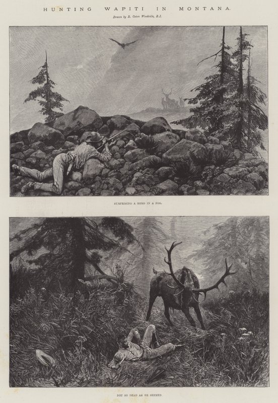 Jagar Wapiti i Montana av Richard Caton Woodville junior