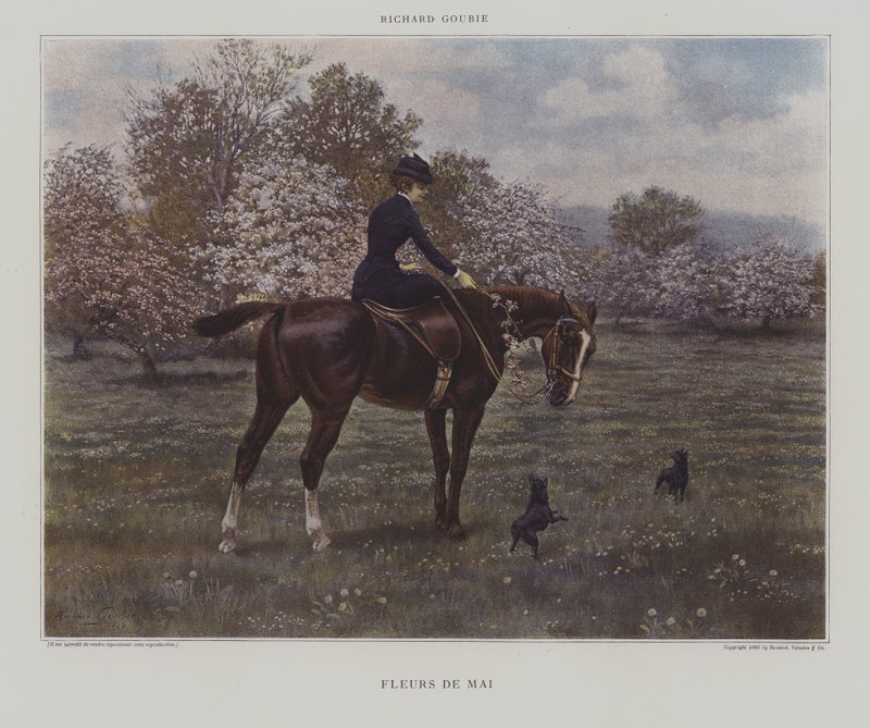 maj blommor av Richard Doyle