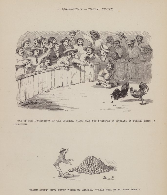 Sida från Brown, Jones och Robinsons amerikanska resa (gravyr) av Richard Doyle