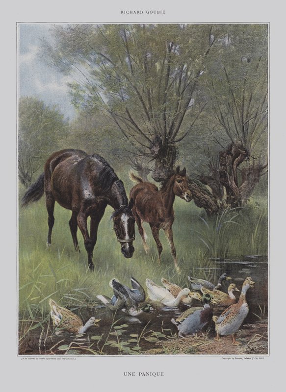 En panik (en panik) av Richard Doyle