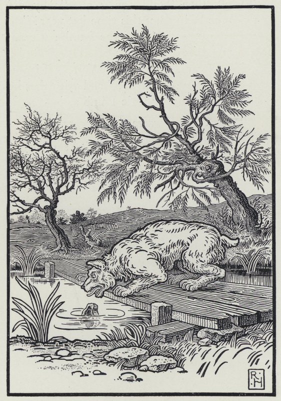 Hunden och skuggan (gravyr) av Richard Heighway