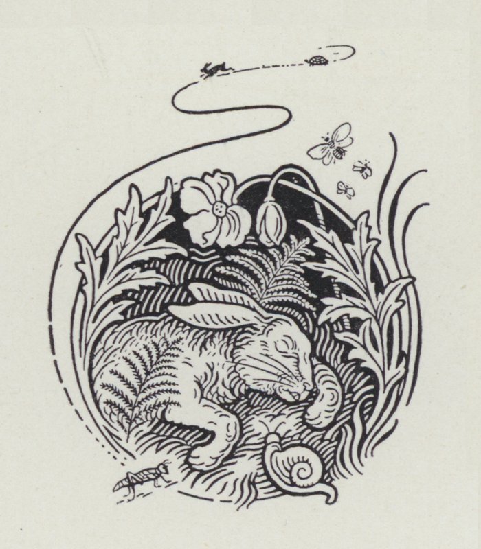 Haren och sköldpaddan (gravyr) av Richard Heighway
