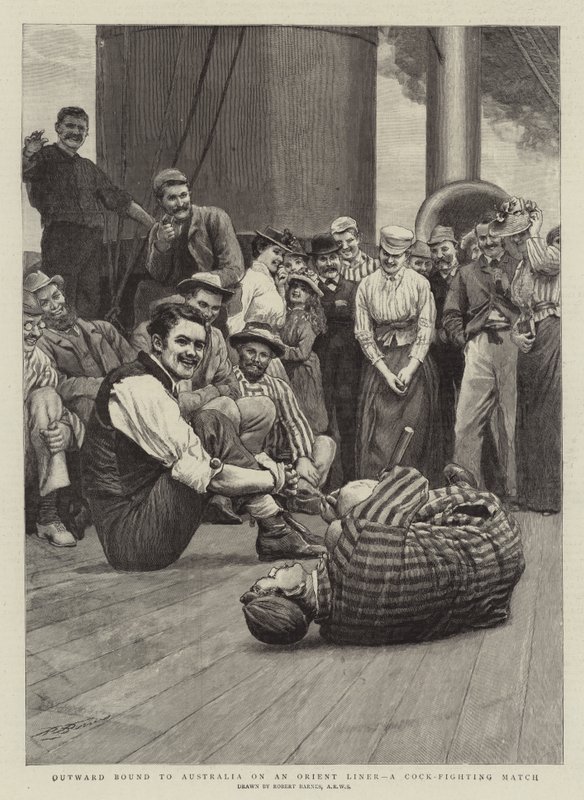 Utåt på väg till Australien på en Orient Liner, en tuppkamp av Robert Barnes