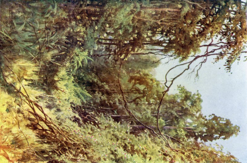 En skogsglänta av Robert George Talbot Kelly