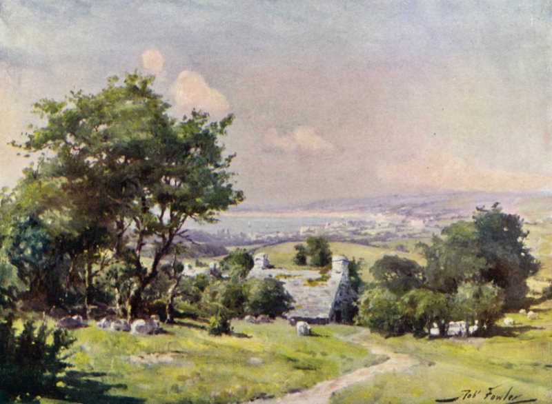 Avlägsen utsikt över Carnarvon Bay (färg litho) av Robert (after) Fowler