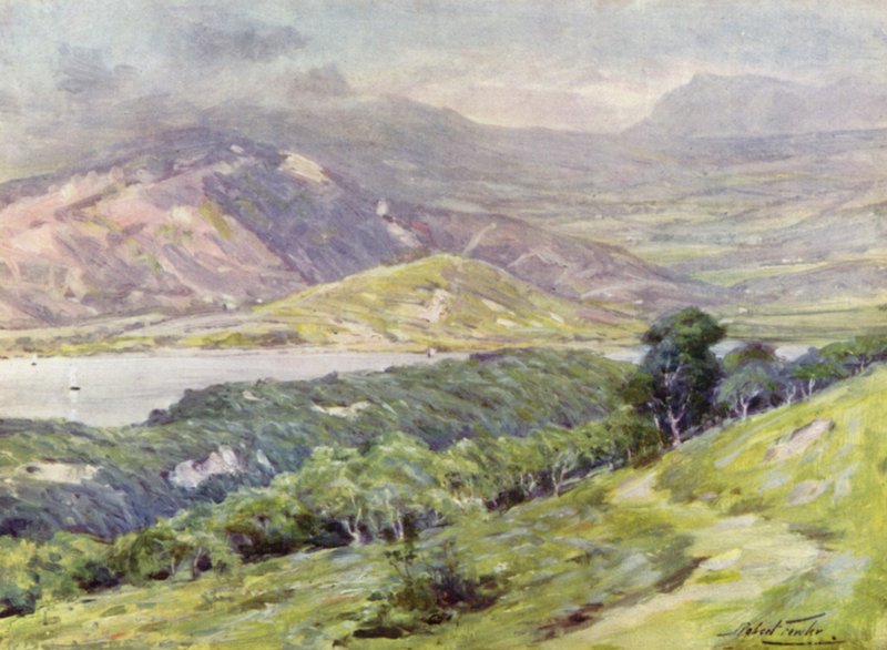 Duffws Mountain in Mist (färg litho) av Robert (after) Fowler