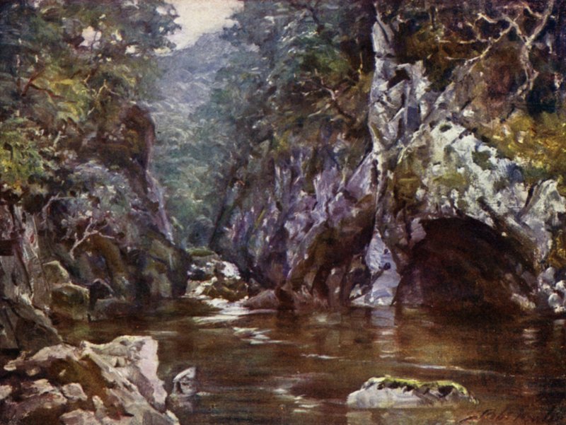 Fairy Glen, Bettws-y-Coed (litho i färg) av Robert (after) Fowler