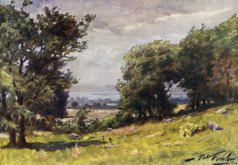 Blåsig dag, nära Llanrug (färg litho) av Robert (after) Fowler