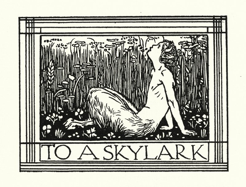 Shelley: Till en sånglärka (lito) av Robert Anning Bell