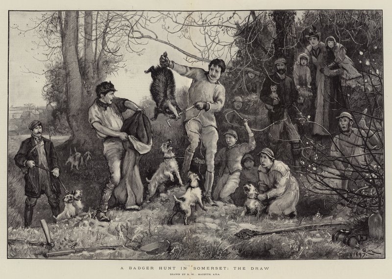 En grävlingsjakt i Somerset, oavgjort av Robert Walker Macbeth