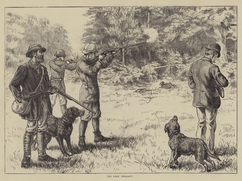 Den första fasanen av S.T. Dadd