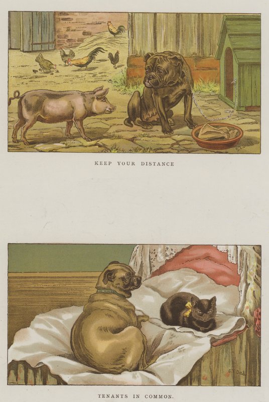 Humoristiska hundar (chromolitho) av S.T. Dadd