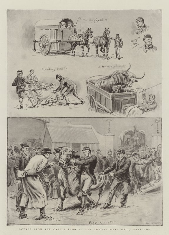 Scener från Cattle Show i Agricultural Hall, Islington av S.T. Dadd