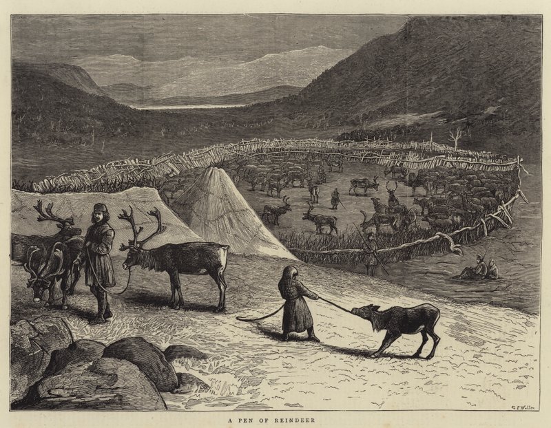 En penna av renar av Samuel Edmund Waller