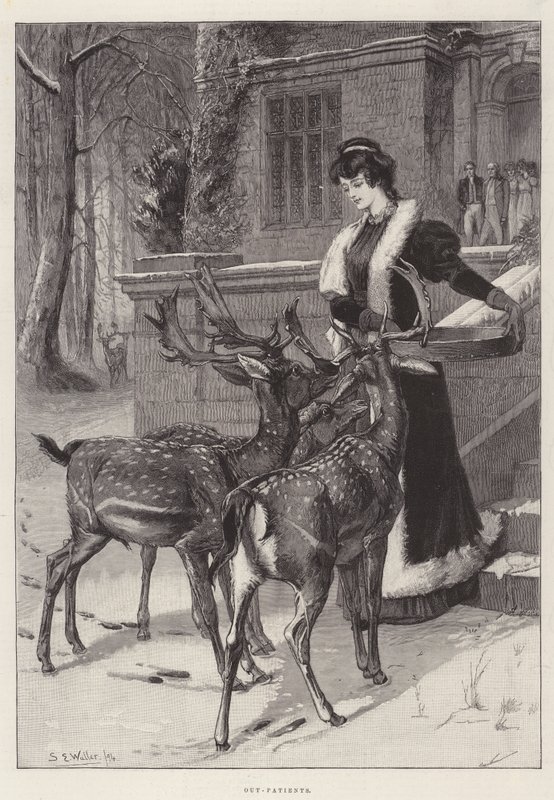 Ambulanspatienter av Samuel Edmund Waller