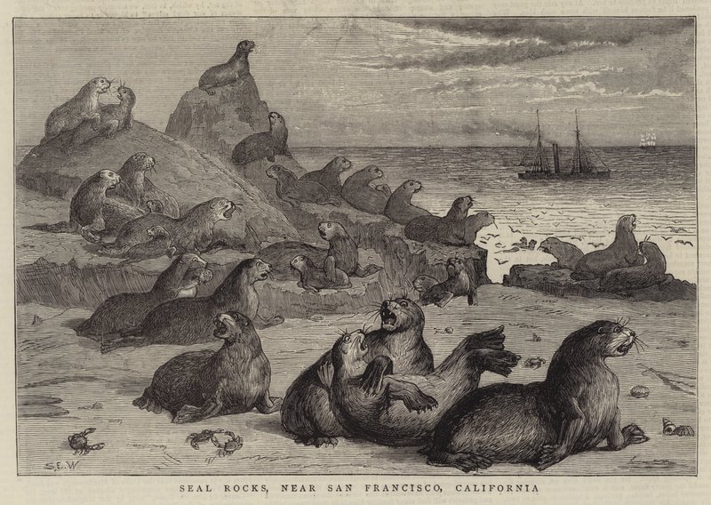 Seal Rocks, nära San Francisco, Kalifornien av Samuel Edmund Waller