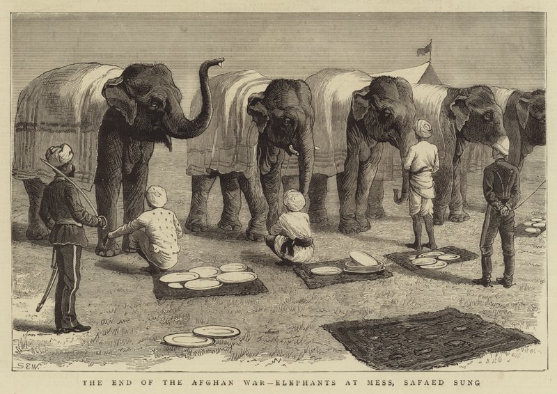 Slutet på det afghanska kriget, Elephants at Mess, Safaed Sung av Samuel Edmund Waller