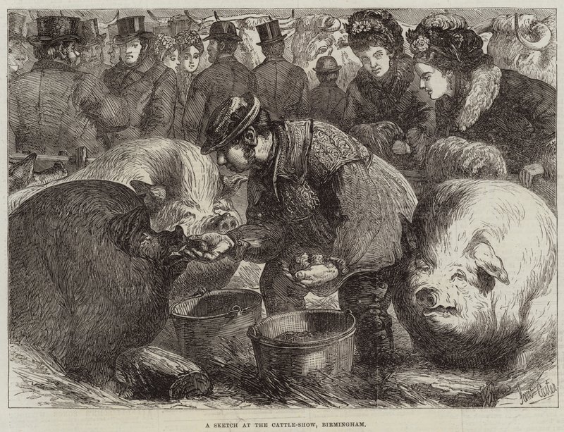 En skiss på Cattle-Show, Birmingham av Samuel John Carter
