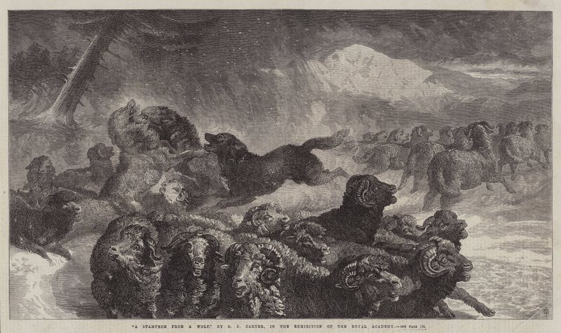 En stormsteg från en varg av Samuel John Carter