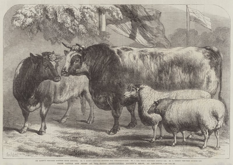 Pris för nötkreatur och får vid Royal Agricultural Society