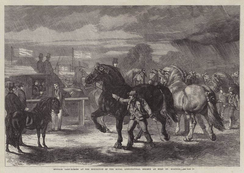 Suffolk Cart-Horses på utställningen av Royal Agricultural Society i Bury St Edmunds av Samuel John Carter
