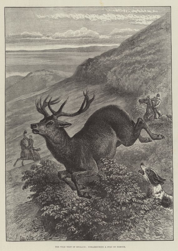Englands vilda väst, att avhysa en hjort på Exmoor av Samuel John Carter