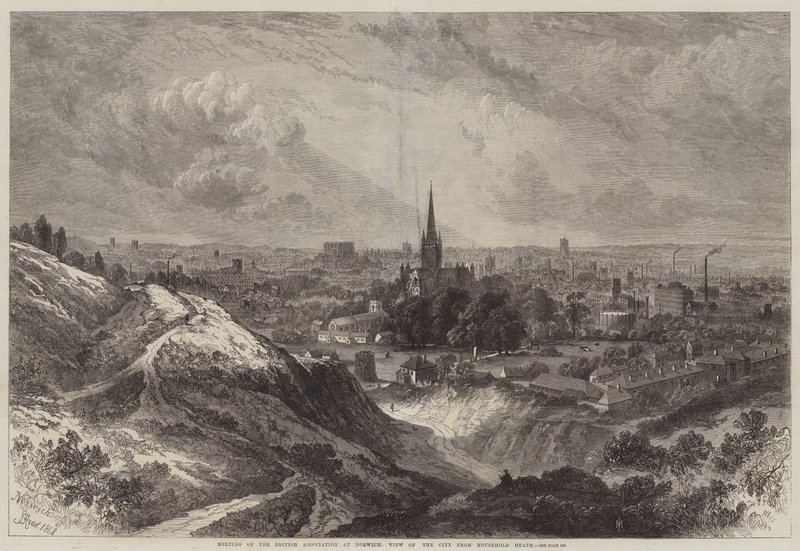 Möte för British Association i Norwich, utsikt över staden från Mousehold Heath av Samuel Read