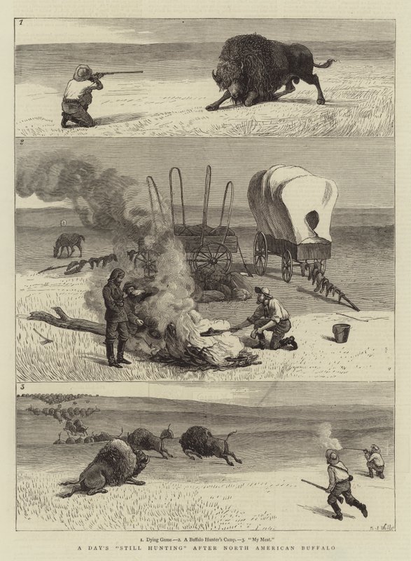 En dag jagar fortfarande efter nordamerikansk buffel av Samuel Edmund Waller