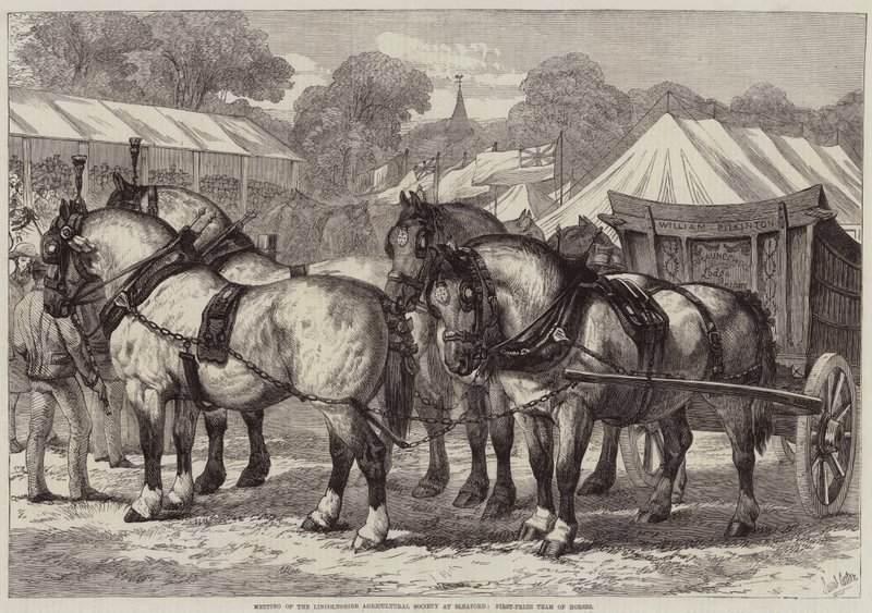 Möte för Lincolnshire Agricultural Society i Sleaford, First-Price Team of Horses av Samuel John Carter