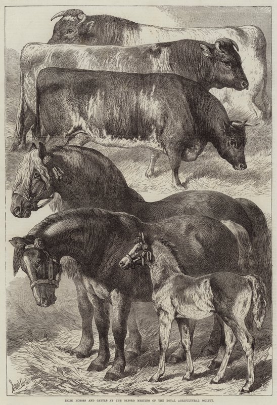 Prishästar och boskap vid Oxford Meeting of the Royal Agricultural Society av Samuel John Carter