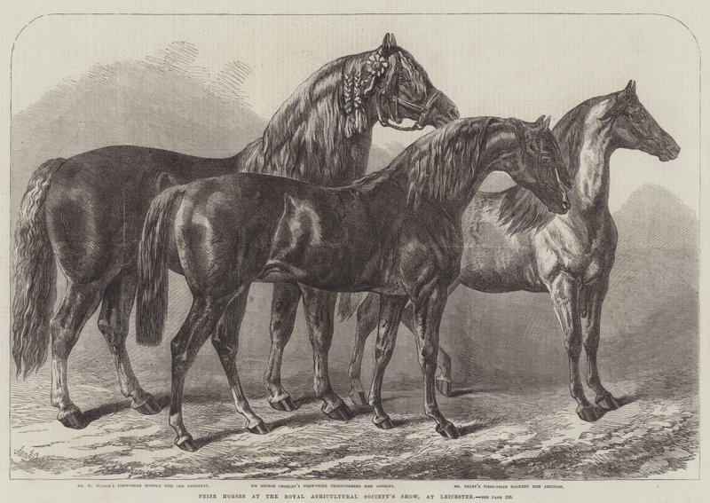 Prishästar på Royal Agricultural Society