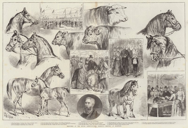 Skisser vid Royal Agricultural Society