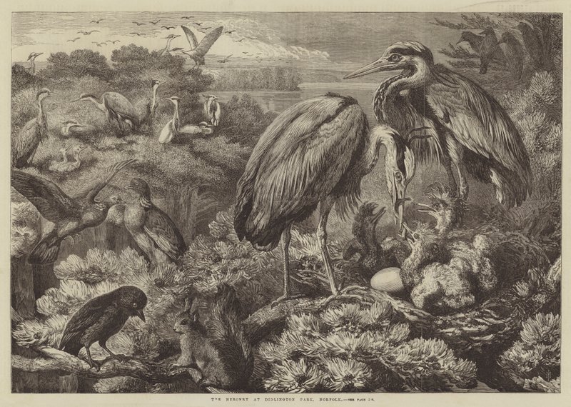 Heronry i Didlington Park, Norfolk av Samuel John Carter
