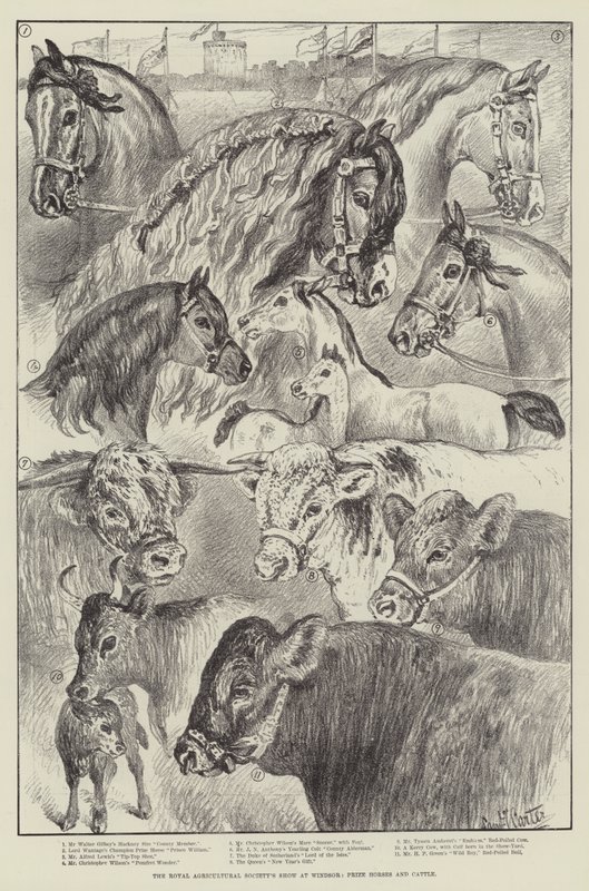 Royal Agricultural Society