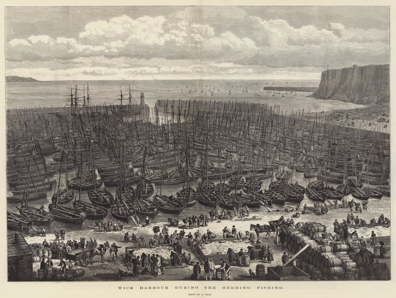 Wick Harbour under sillfisket av Samuel Read