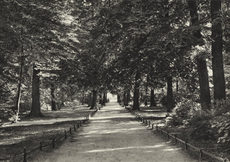 Berlin: Tiergarten (s/v foto) av Sasha Stone