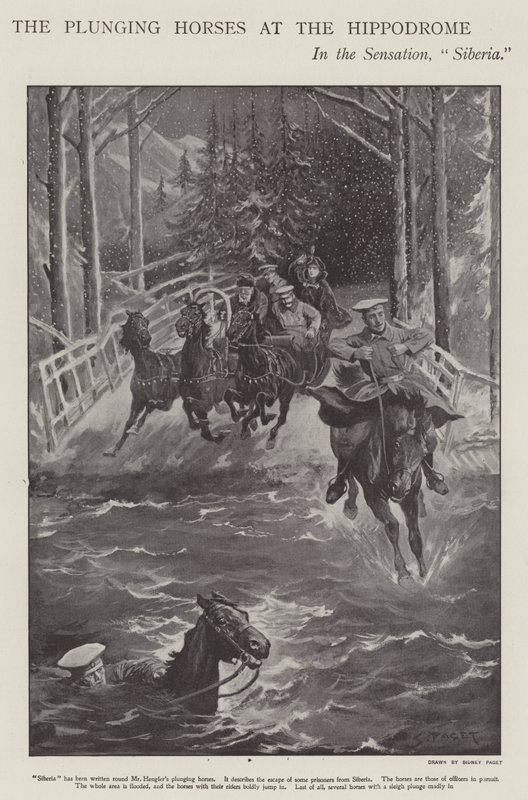 Stupande hästar i Sibirien, en föreställning på London Hippodrome (litho) av Sidney Paget