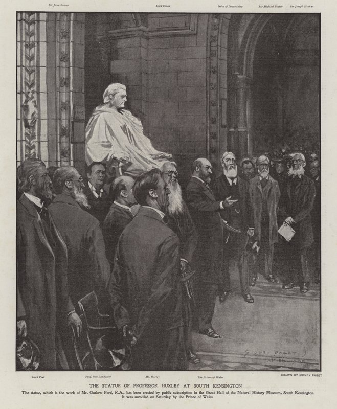 Statyn av professor Thomas Henry Huxley i Great Hall of the Natural History Museum, South Kensington, London (litho) av Sidney Paget