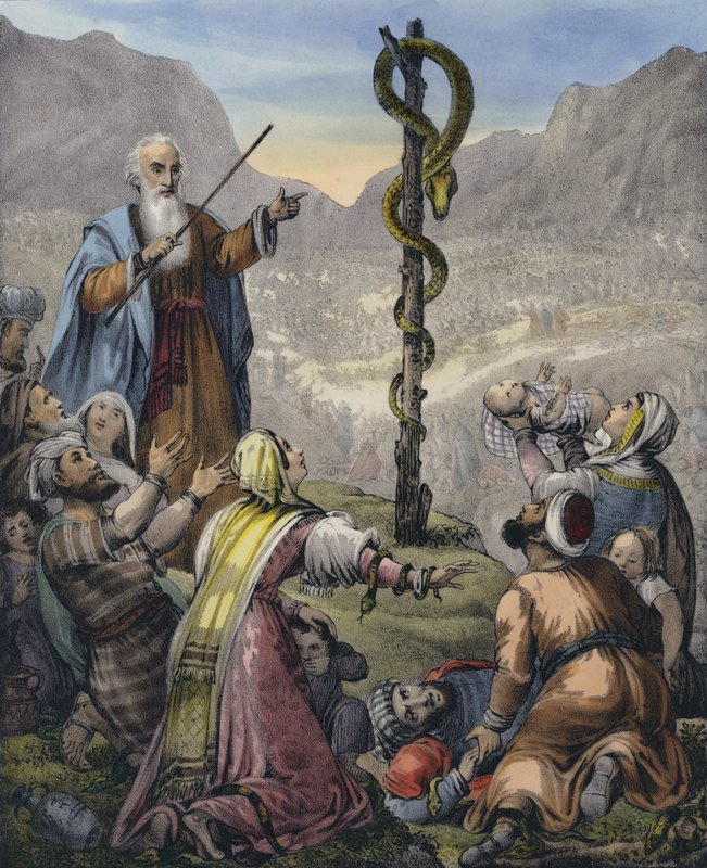 Den fräcka ormen av Siegfried Detler Bendixen