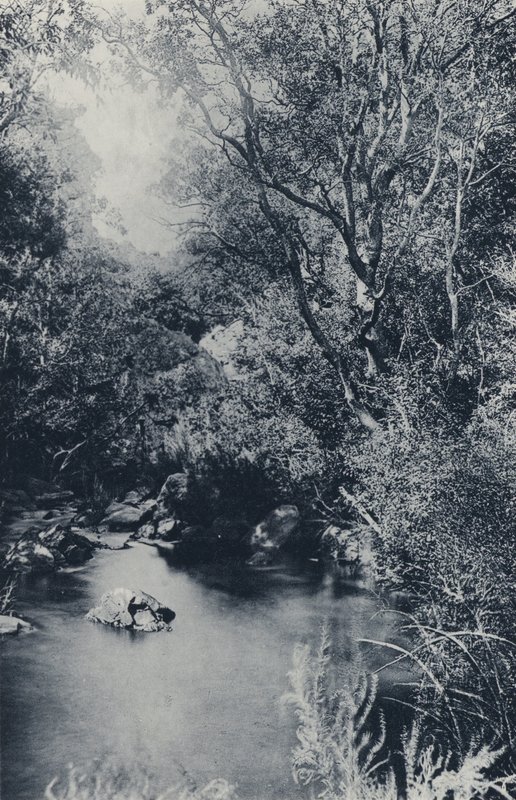 A Fairy Scene, nära Witpoortje (s/v foto) av South African Photographer