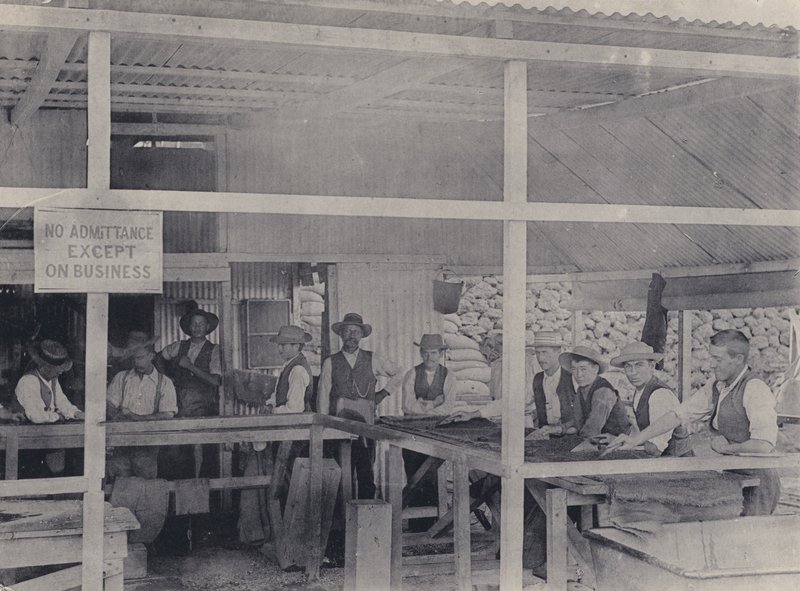 Diamond Sorting, Wesselton Mine (s/v foto) av South African Photographer