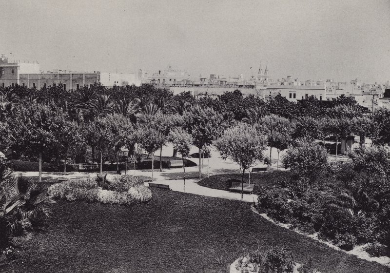 Cadiz: Parque Genoves (s/v foto) av Spanish Photographer