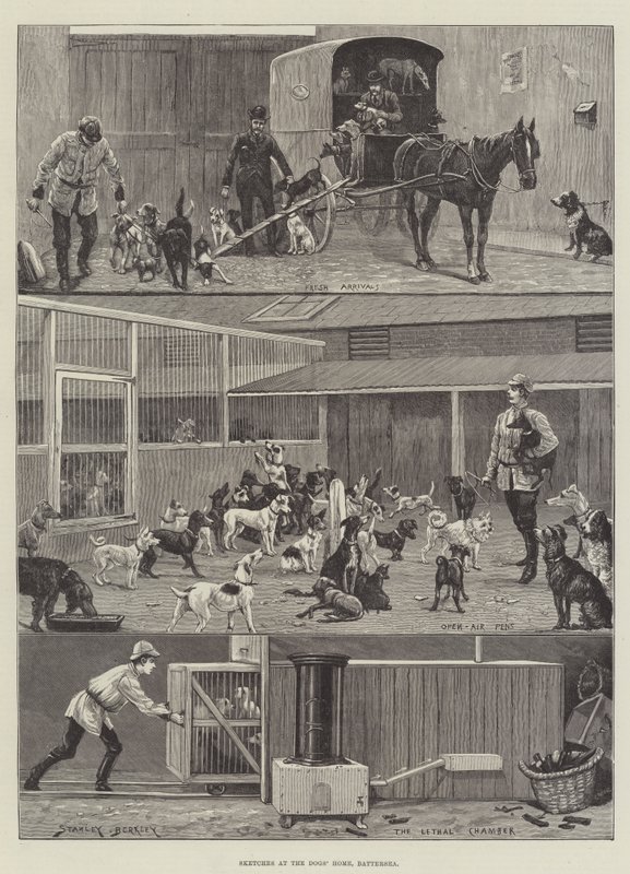 Skisser på hundhemmet, Battersea av Stanley Berkeley