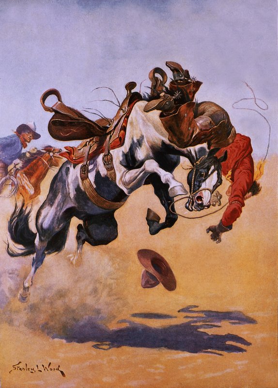 Bucked!swed av Stanley L. Wood