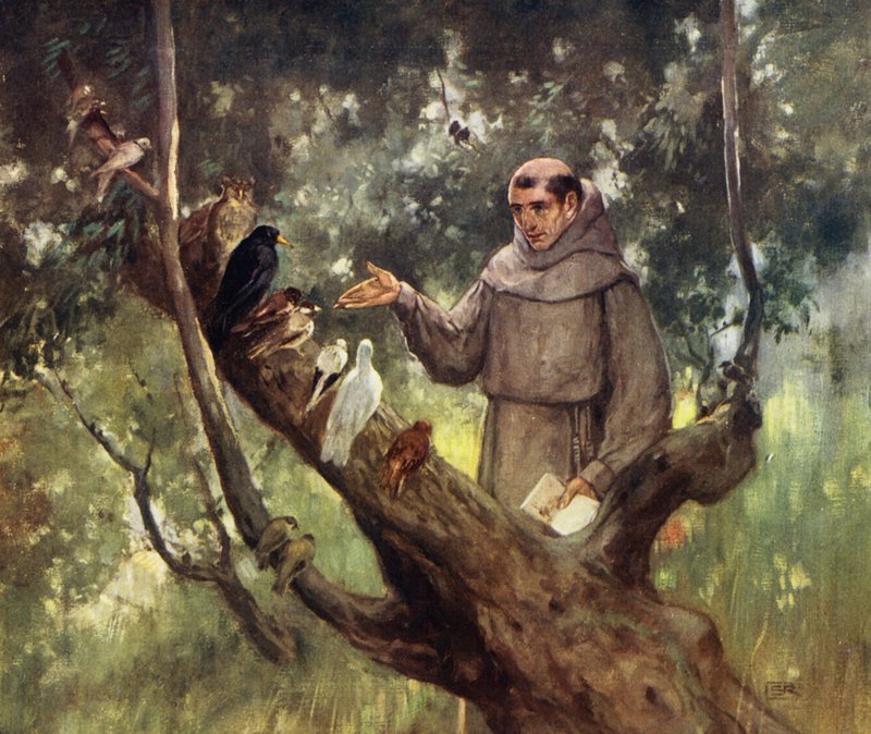 Saint Francis predikar för fåglarna (färg litho) av Stephen Reid