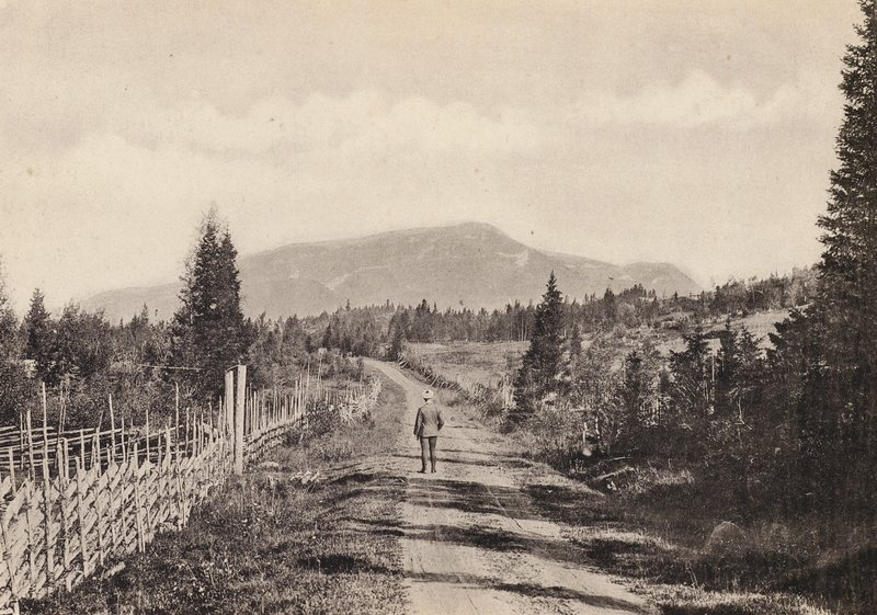 Sverige / Sweden: Jamtland, Areskutan Fran Undersaker (b/w photo) av Swedish Photographer
